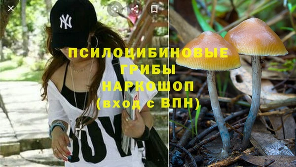 бошки Покров