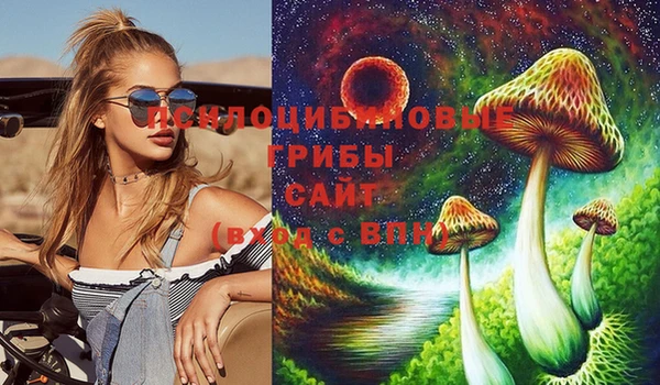 соль ск Покровск