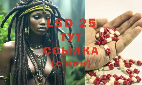 ПСИЛОЦИБИНОВЫЕ ГРИБЫ Покачи
