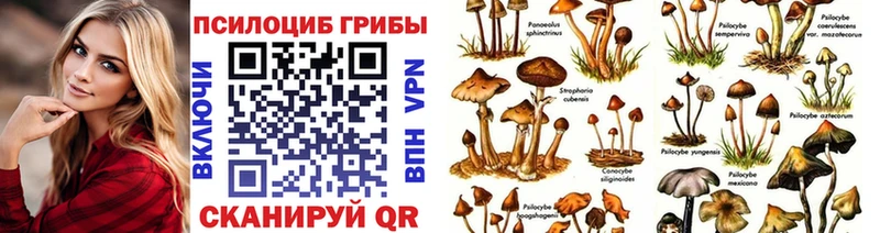 Галлюциногенные грибы Psilocybine cubensis  купить закладку  Свирск 